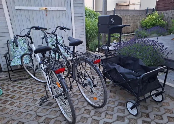 Zakatek Rumiankowa Σπίτι διακοπών Rewal